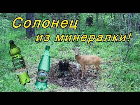 Видео: Солонец из Минералки. Такого я не ожидал....