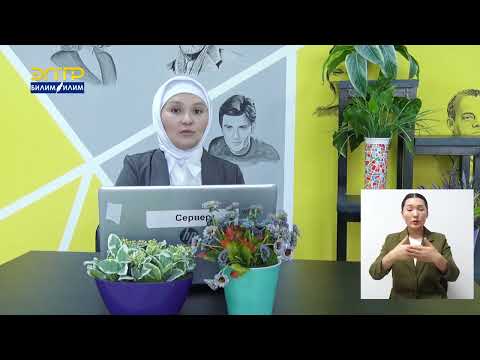 Видео: КИШИНИН ТАМАК СИҢИРҮҮ СИСТЕМАСЫ, ВИТАМИНДЕР ТУУРАЛУУ