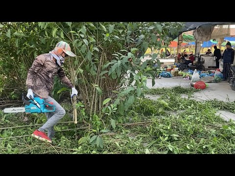 Видео: Рынок был настолько завален мусором и зарос сорняками, что тысячи людей даже не дали мне его убрать.