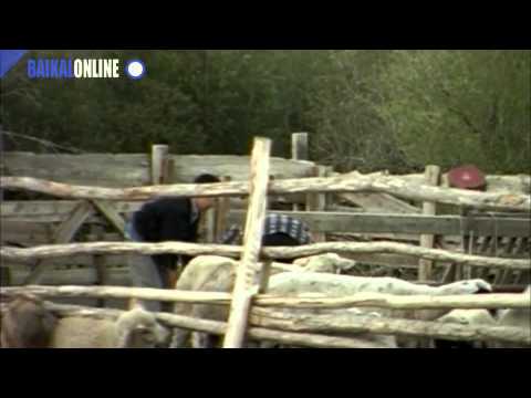 Видео: Одна Тувинская Песня