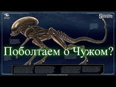 Видео:  Поболтаем о Чужом Идеальный организм