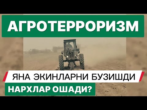 Видео: ЭХХ... Деҳқоннинг Пиёз даласи бузиб ташланди! 
