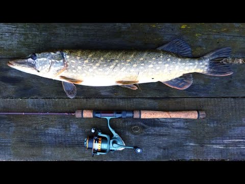 Видео: Первая щука в новом году. Рыбалка 2022