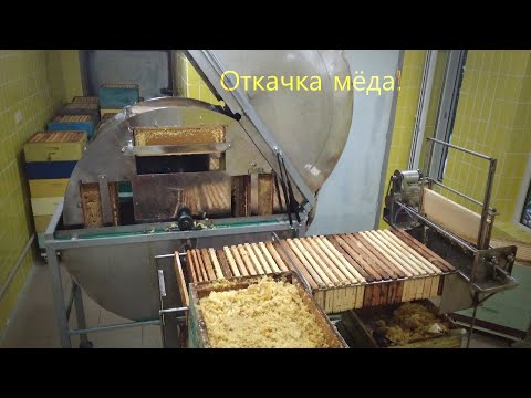 Видео: Откачка мёда. Совершенству нет предела!