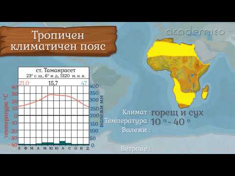 Видео: Климат и климатичи области в Африка - География 5 клас | academico