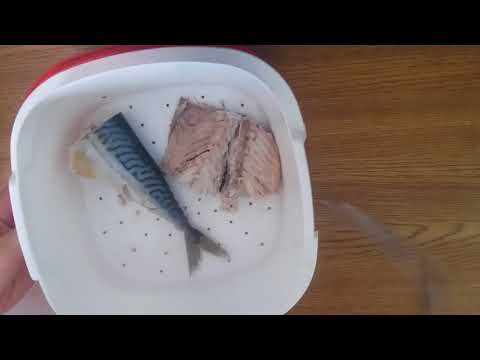 Видео: Тапервер Термосервирователь