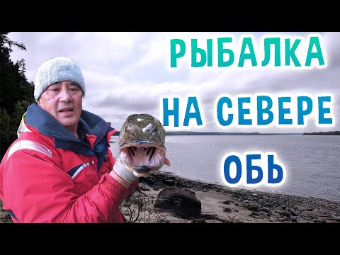 Видео: Рыбалка на севере. Обь.