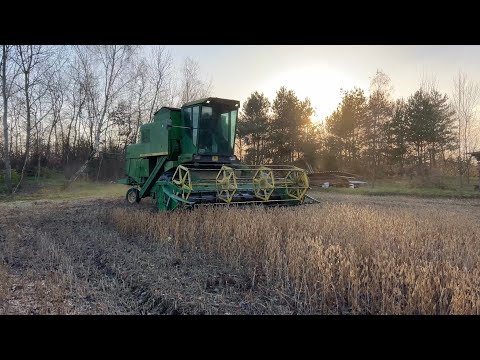 Видео: Остання можливість зібрати сою ❌молотимо сою посіяну вручну‼️