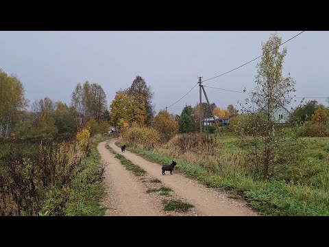 Видео: Удачное утро, долгожданный заказ и работа с древесиной,  которая не заканчивается