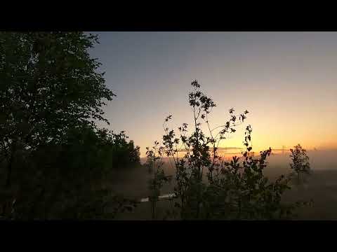 Видео: ОЧЕНЬ МНОГО РЫБНЫХ МЕСТ ЗА ОДНУ НОЧЬ! ЯЗЬ И ОКУНЬ В НАЧАЛЕ ЛЕТА НЕ ОЧЕНЬ БОДРЫЙ, ПРО ЩУКУ МОЛЧУ)))!