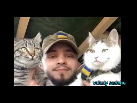 Видео: Біля річки біля броду.Валерій Судче.(valeriy_sudche).