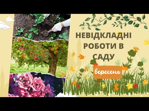 Видео: Сад восени: невідкладні роботи у вересні