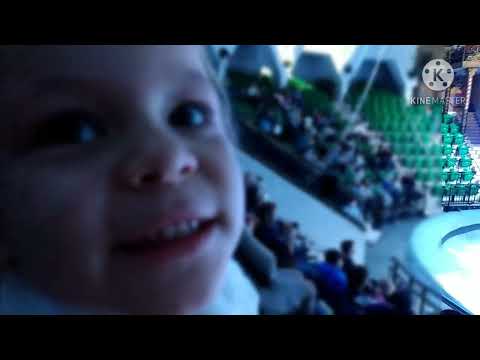 Видео: Симферополь🎄Новогодний❄️2021❄️Ёлка в цирке им. Б.Тезикова🎪✨Волшебно и Незабываемо✨Мама плакала😹