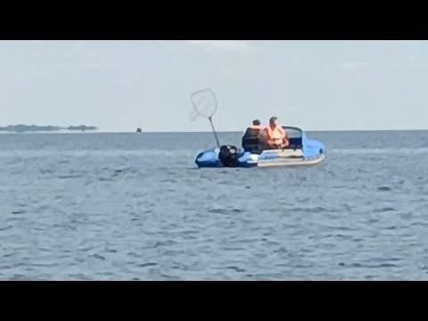 Видео: Озеро ИЛЬМЕНЬ, второй день рыбалки 🎣🦈👍.