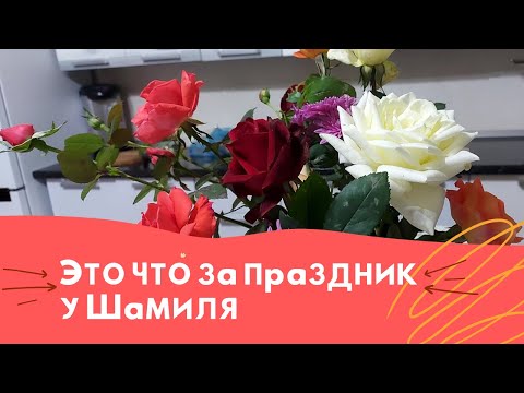 Видео: Это что за праздник у Шамиля 🎉🎉