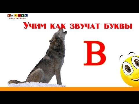 Видео: Алфавит русский Учим Буквы и Звуки с Кругляшиком - Буква В