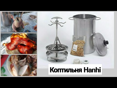 Видео: Рецепт Курицы: горячее копчение целиком в коптильне Hanhi