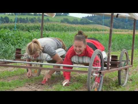 Видео: Подборка огородных тележек или как облегчить дачный труд.