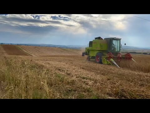 Видео: Молотимо СОЮ‼️СОЯ сипить як має бути‼️