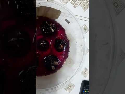 Видео: Бегония клубневая. Подготовка к посадке. Лайфхак.