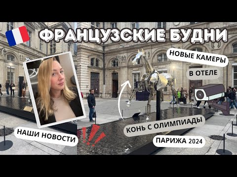 Видео: VLOG // Конь с олимпиады в Париже 2024 🥇 Камеры видеонаблюдения в отеле 📹 Наши последние новости !!!