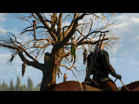 Видео: Обзор Ведьмак 3: Дикая Охота - после 12 часов. PC, 60fps. The Witcher 3: Wild Hunt