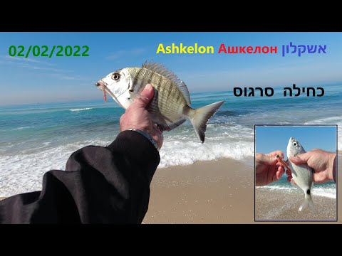Видео: 4K 02/02/2022 Ashkelon fishing Ашкелон рыбалка  אשקלון דיג