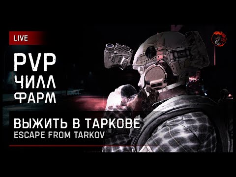 Видео: TARKOV × CHILL × PVP [зкз муз ВКЛ] Если лагает смотри на Twitch или VKPlay