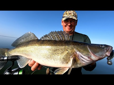 Видео: Рыбалка на судака в море! Красивые агапы Киевского водохранилища!