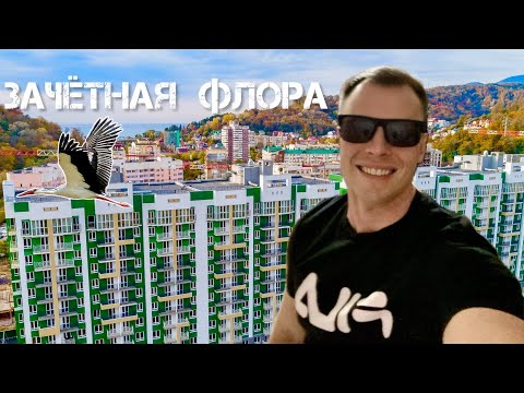 Видео: Это шедевр! Жилой комплекс Флора | Сочи 2023