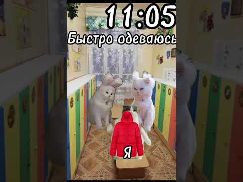 Видео: Рил: Мой День Рождения 🎁.Футажи в моём телеграм канале.