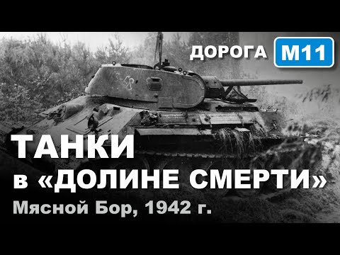 Видео: Танки в "Долине смерти". Мясной Бор, 1942 г. Дорога М-11