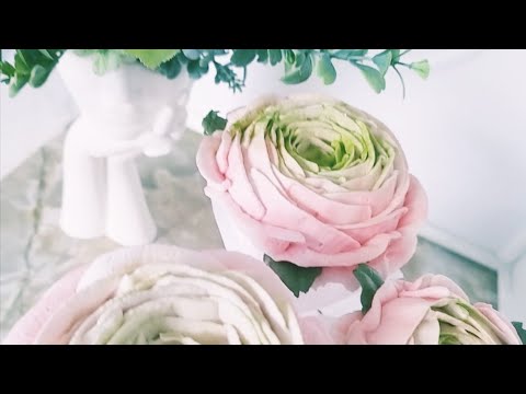 Видео: ЗЕФИРНЫЙ РАНУНКУЛЮС fLora  в прямом эфире!