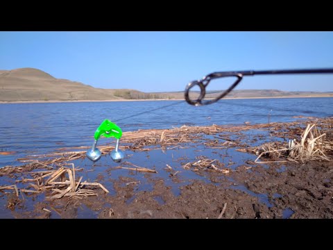 Видео: Сразу же начало клевать. Рыбалка на донки. Май 2025.