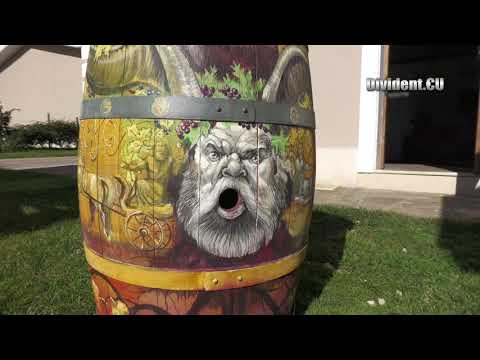 Видео: Винено пътешествие до Могилово и Мидалидаре