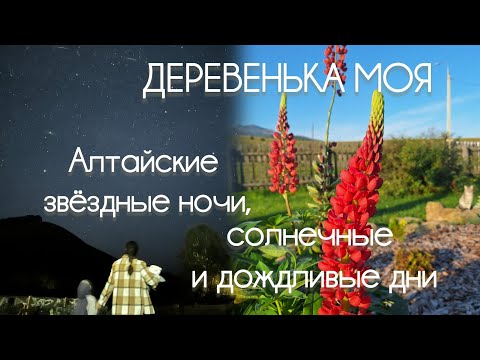 Видео: Реалии жизни в деревне, выезд в город и ежедневные заботы многодетной семьи в деревне.