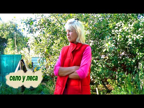 Видео: 💔 Не могу прийти в себя. Моя простая жизнь на краю села.