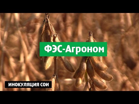 Видео: Инокуляция сои