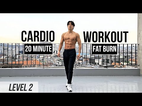 Видео: 20-минутная кардио тренировка для сжигания жира (уровень 2) 20 Minute Fat Burning Cardio Workout