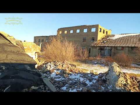 Видео: Воркута. 17.10.25. Птичник.