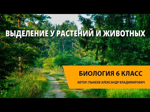 Видео: Выделение у растений и животных