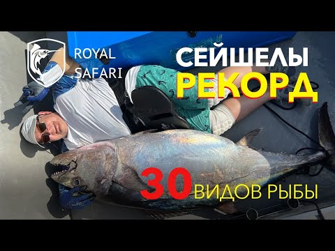 Видео: Сейшелы. 30 видов рыбы. Рекорд