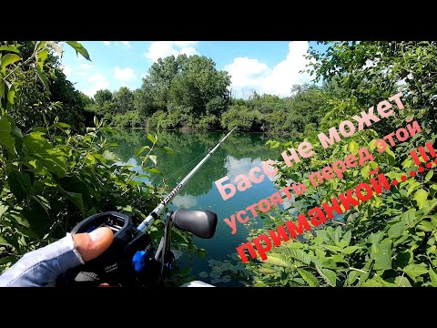 Видео: Техасская оснастка /Texas Rig/ в комбинации с Senko, приманка номер один для ловли Басса.
