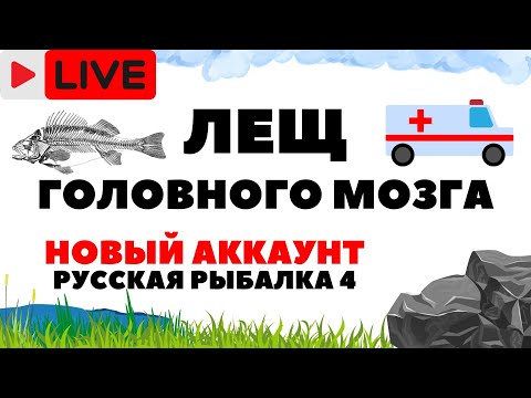 Видео: Лещ проверка точек - Аккаунт новичка РР4 / Русская рыбалка 4