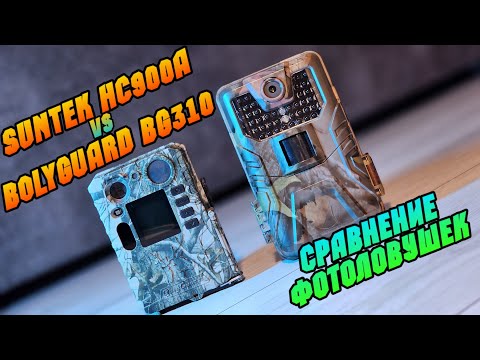 Видео: Сравнение качества записи фотоловушек SUNTEK HC900A и BOLYGUARD BG310