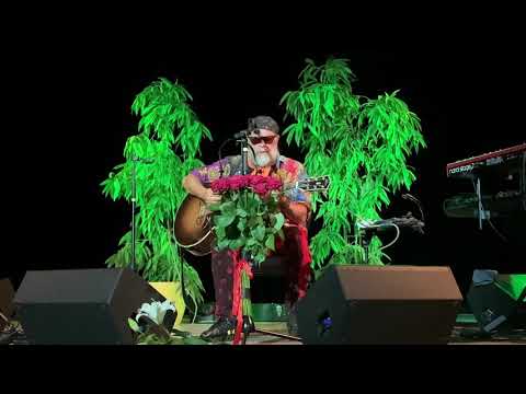 Видео: 04 - Знак, Борис Гребенщиков. Бровары, 22.10.2020