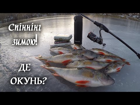 Видео: Пошук РУСЛОВОГО окуня ВЗИМКУ!