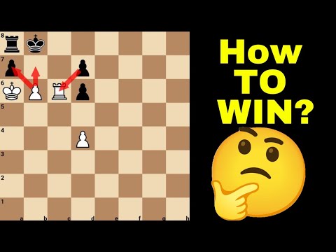 Видео: Есть только один способ выиграть!