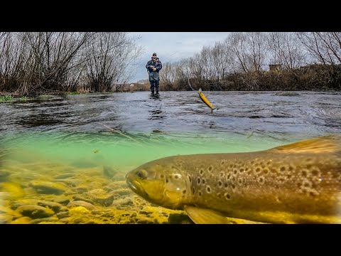 Видео: ВИЖТЕ КАКВО  НАМЕРИХ  в  ПЪСТЪРВАТА !  РИБОЛОВ на  ОГОСТА