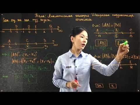 Видео: 26 1  Аналитикалык геометрия  Сан огу же сан түз сызыгы